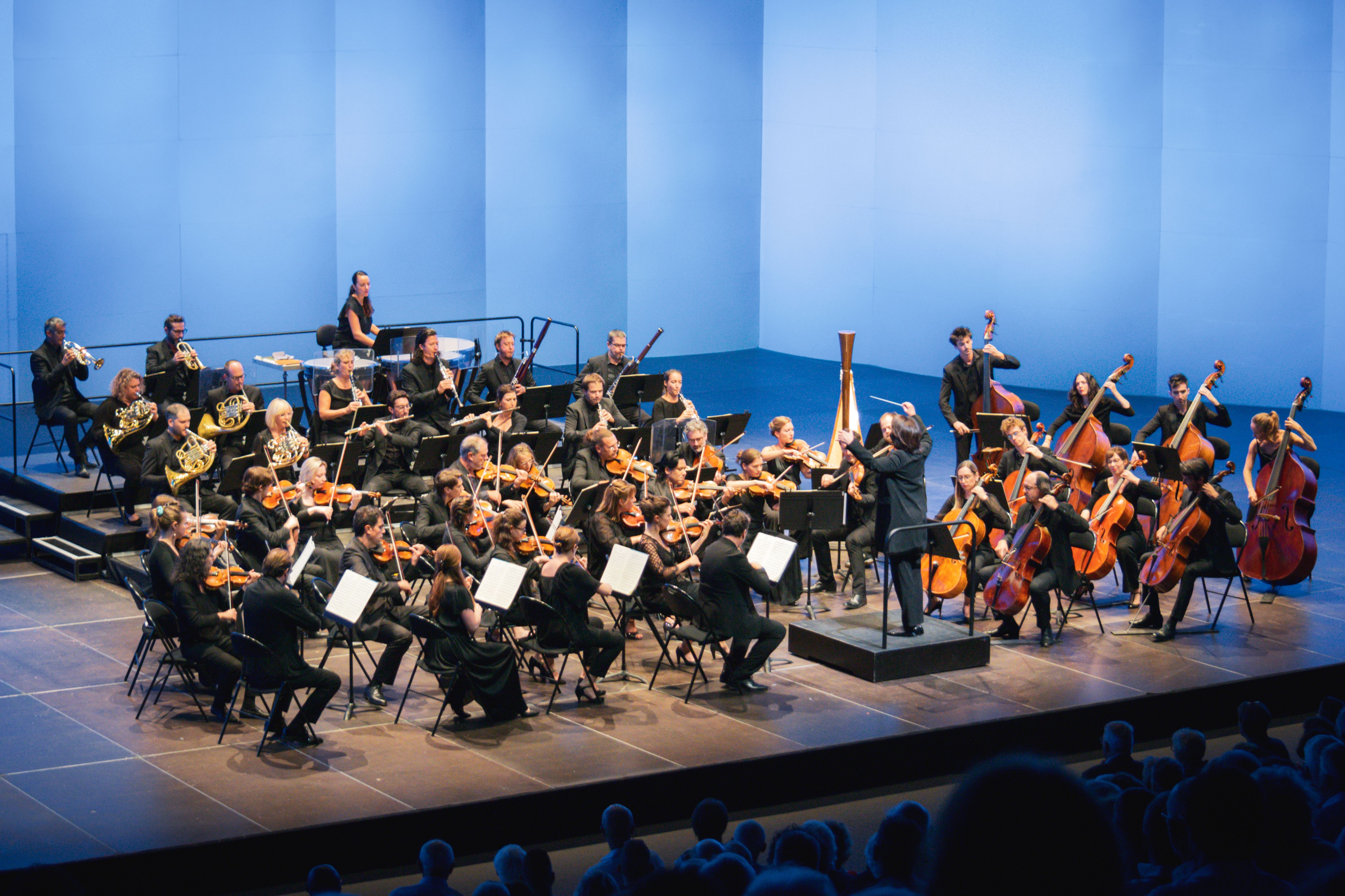 Paris Mozart Orchestra - Photo Margot Seminel